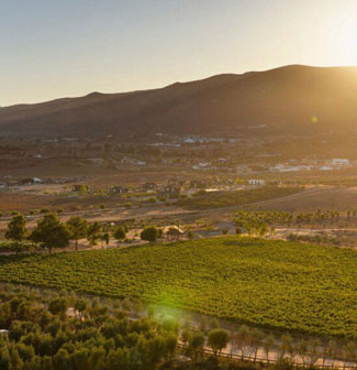 Thing To Do Valle de Guadalupe