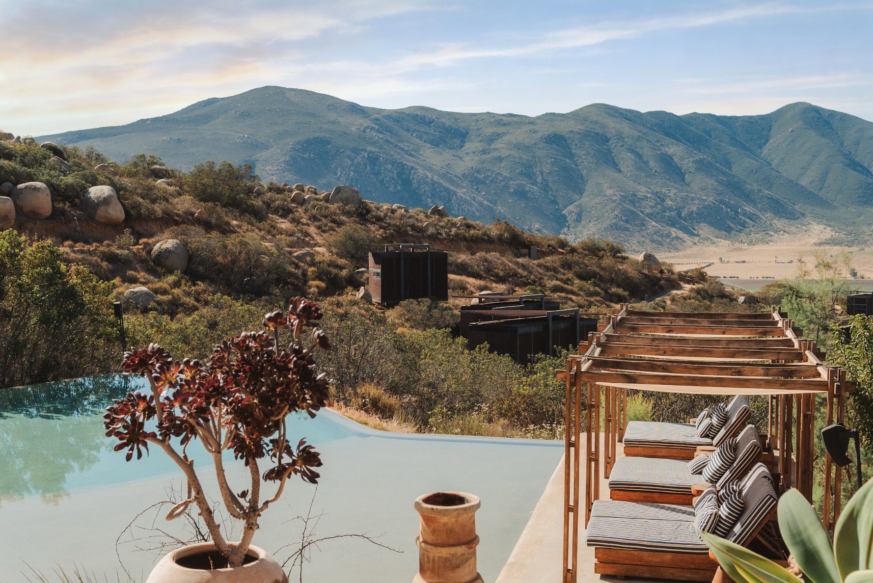 Eco Loft King | Encuentro Guadalupe | Photo 2