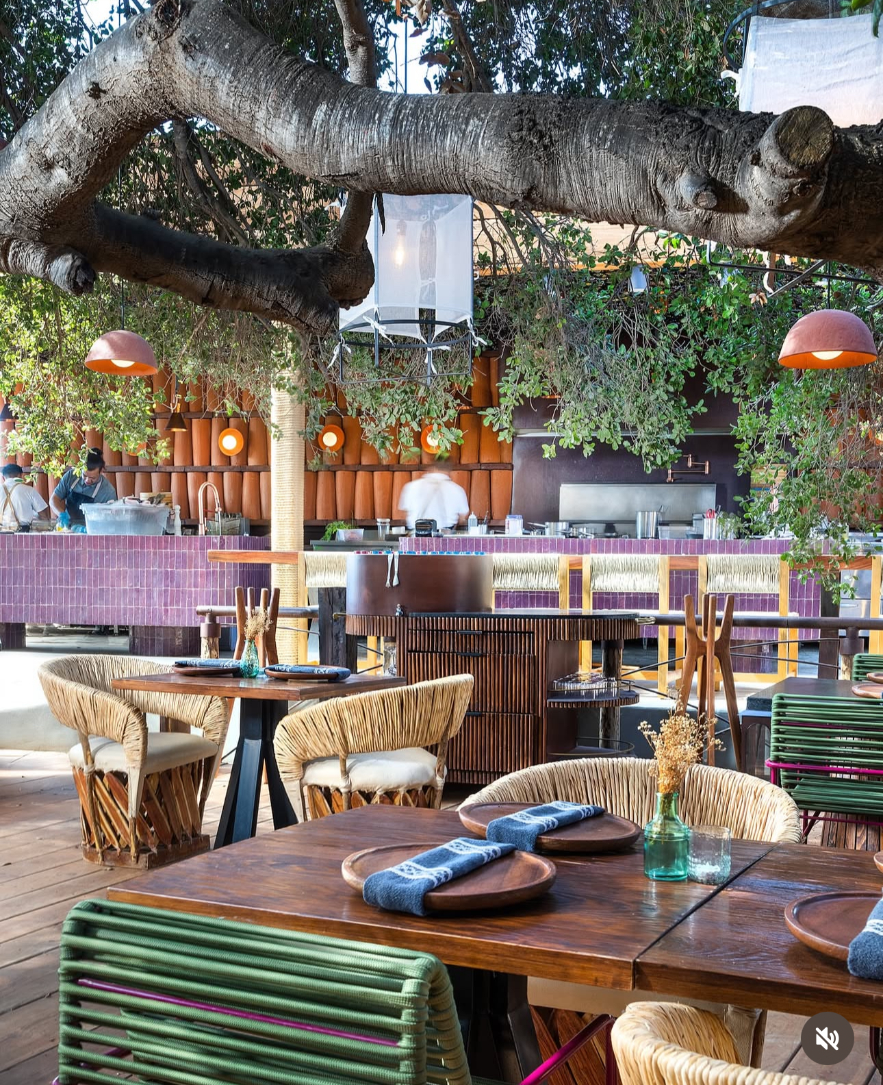 Things To Do Animalón