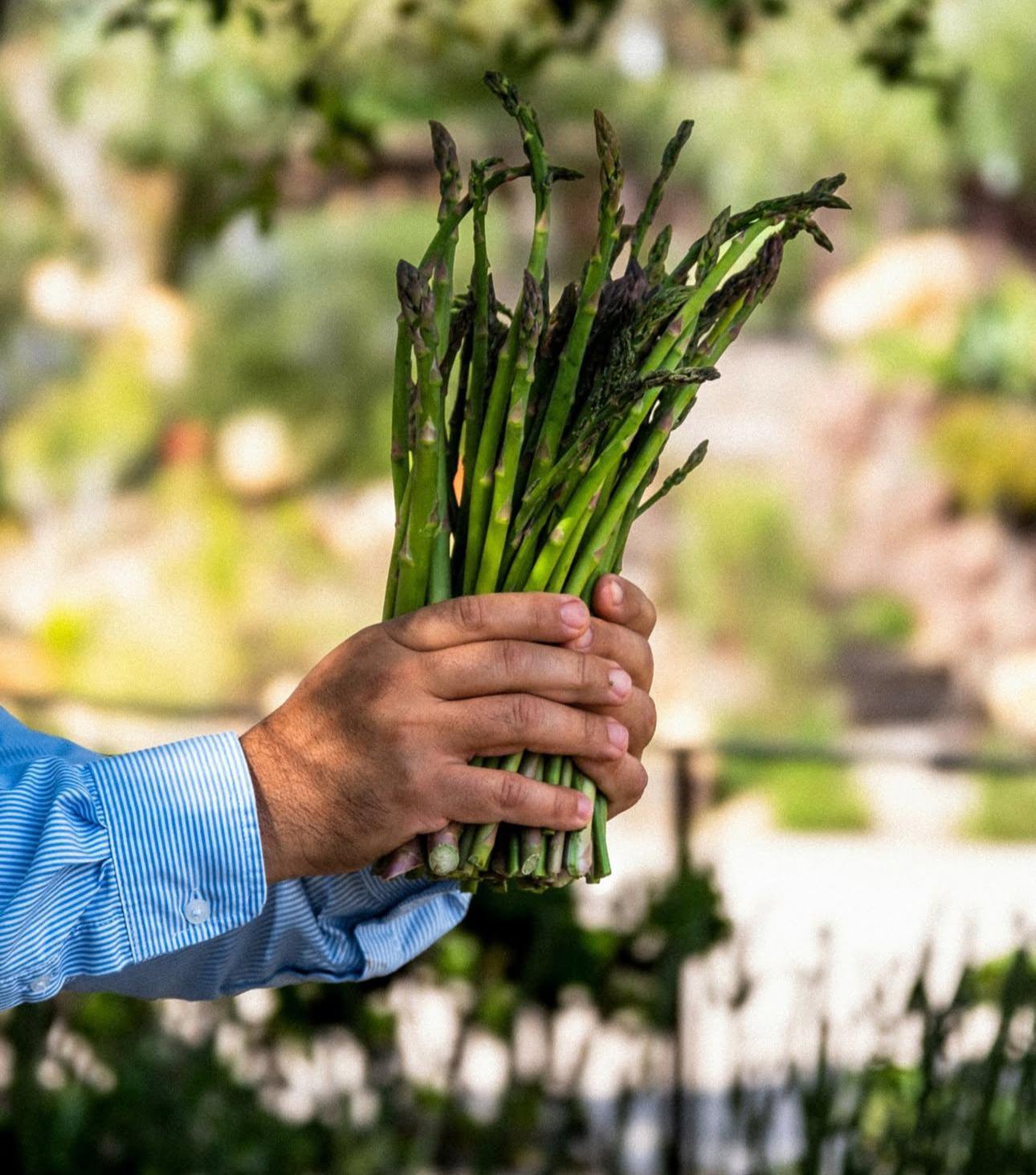 Things To Do Lunario