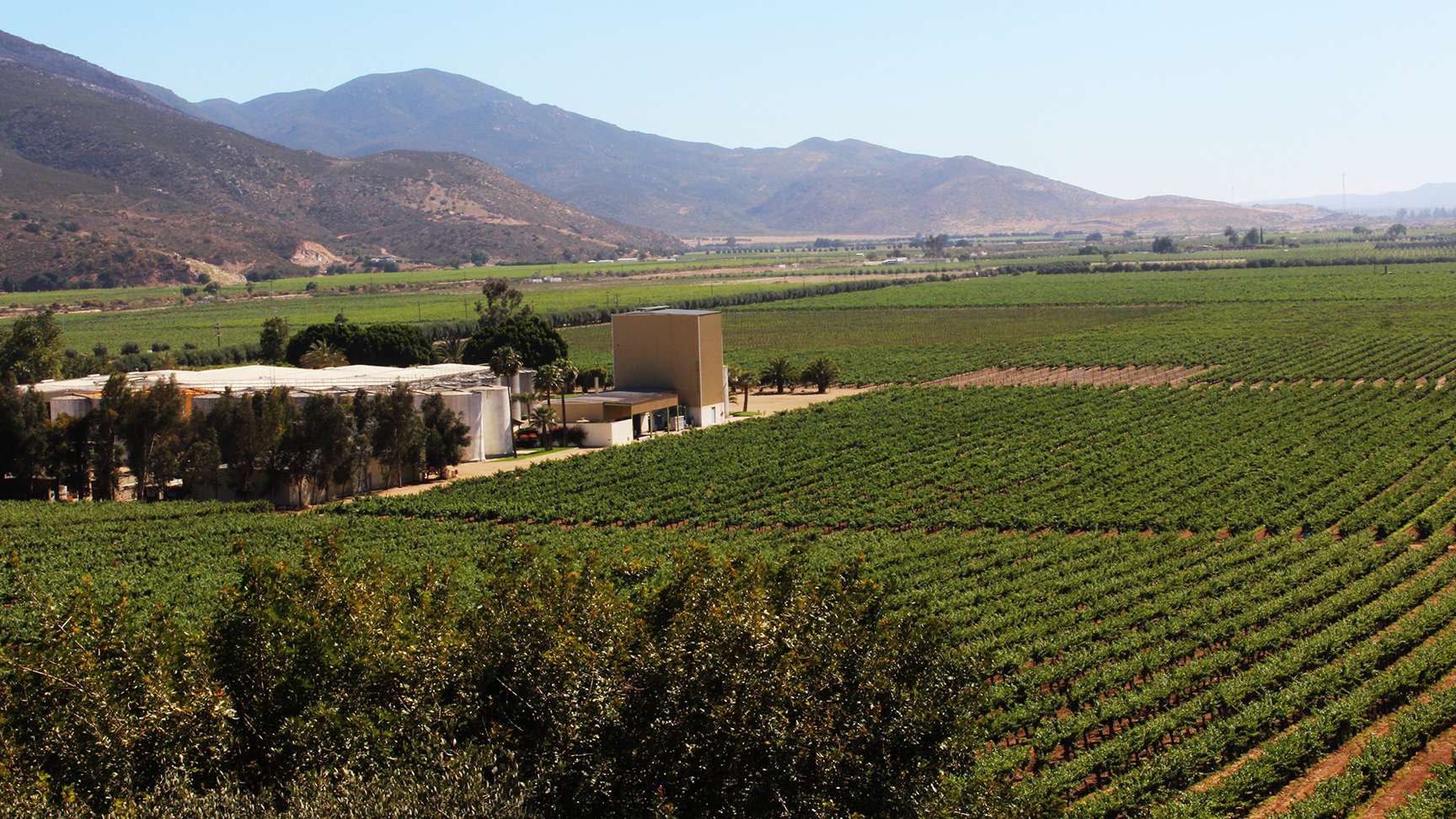 Things To Do L.A Cetto