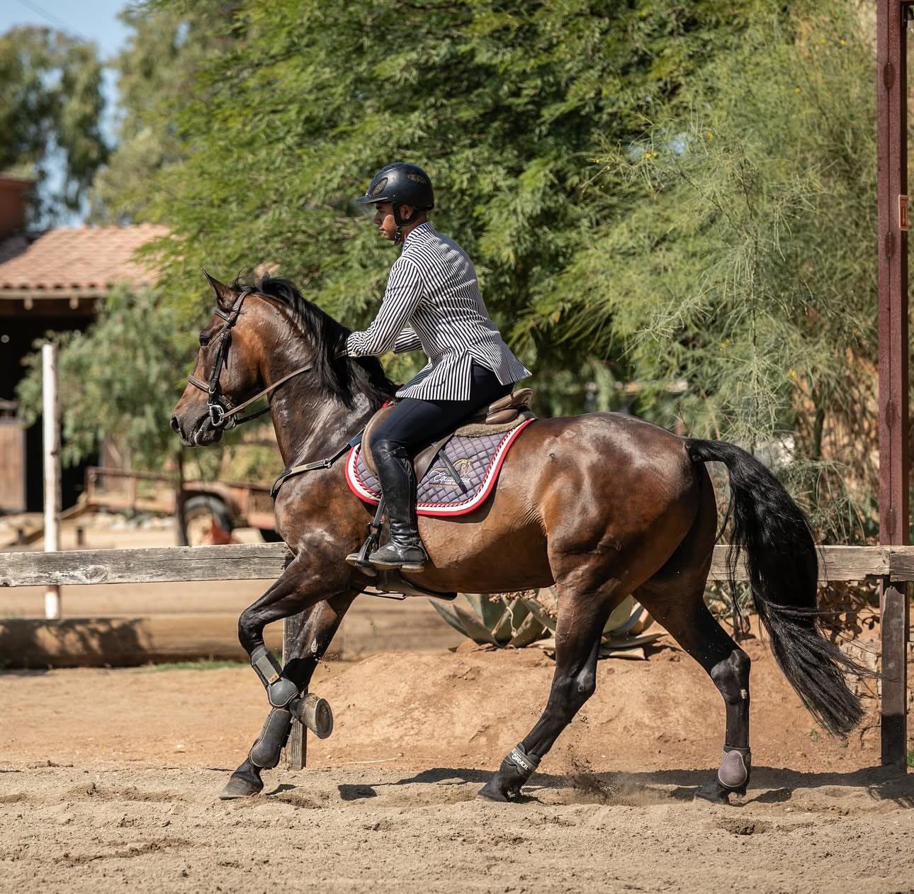 Horseback Riding callout